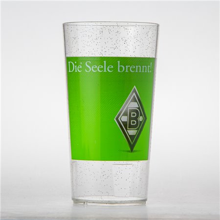 Glas (Brauerei - 420)