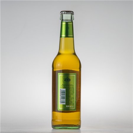 Flasche (Lime - 02)