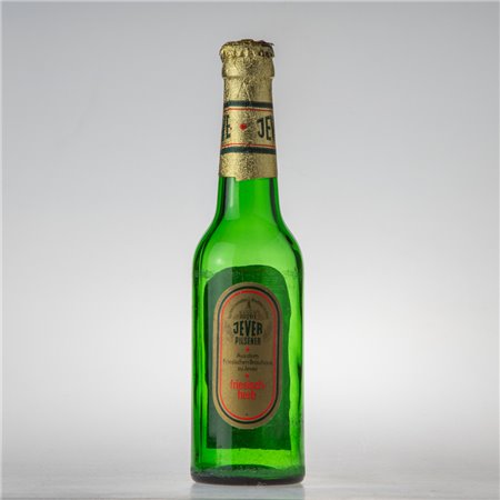Flasche (Pilsener - 06)