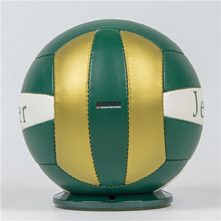Volleyball (Dachmarke - 01)